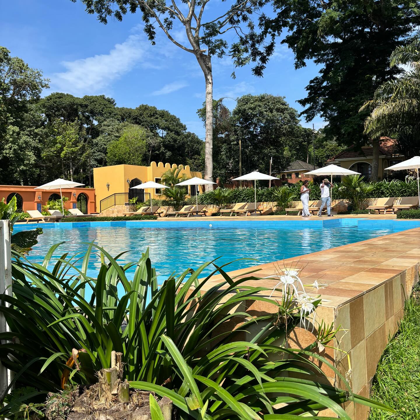 Swimming pool with sun loungers and parasols